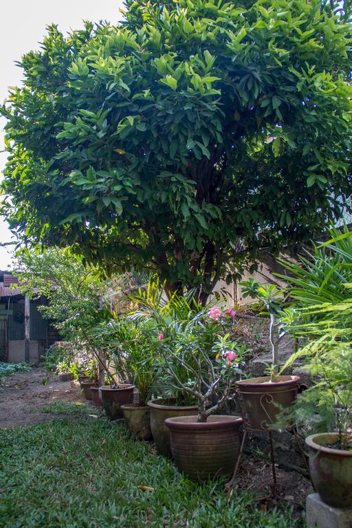 Cozy Mount Erskine Homestay George Town Exterior photo